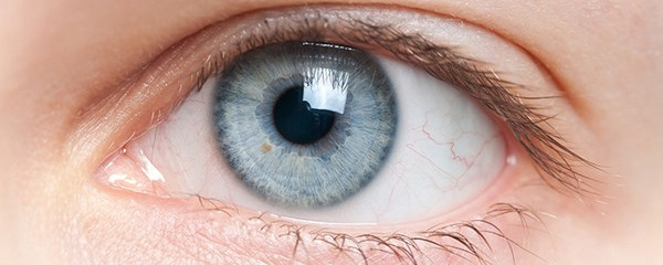 眼睛黄斑病是什么 老人都会得眼睛黄斑病吗