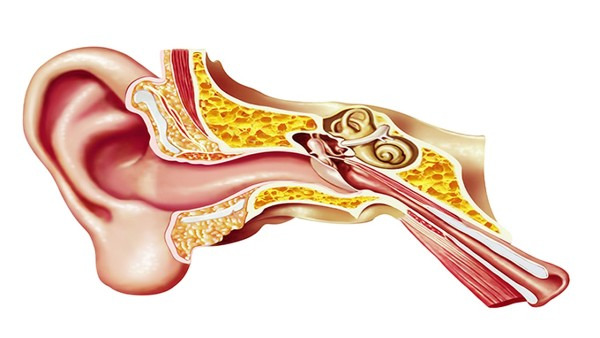 鼓膜穿孔和中耳炎有什么关系 鼓膜穿孔和中耳炎的病因相同吗