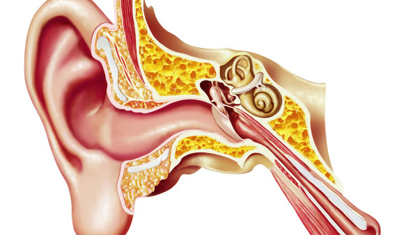 中耳炎有哪些并发症？局部组织器官脓肿