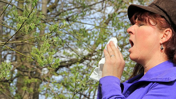 鼻炎与鼻窦炎的区别是什么 鼻炎与鼻窦炎治疗方案相同吗
