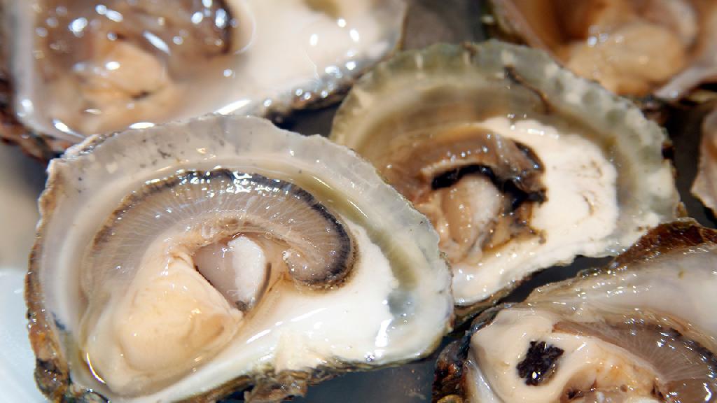 鼻窦炎有哪些饮食禁忌 鼻窦炎能吃海鲜吗
