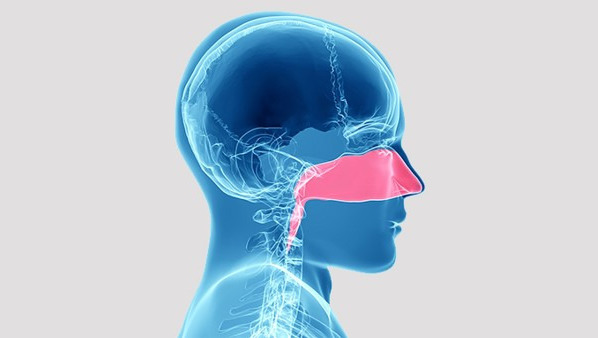 鼻中隔偏曲穿孔怎么办 鼻中隔偏曲穿孔常见的4种疗法