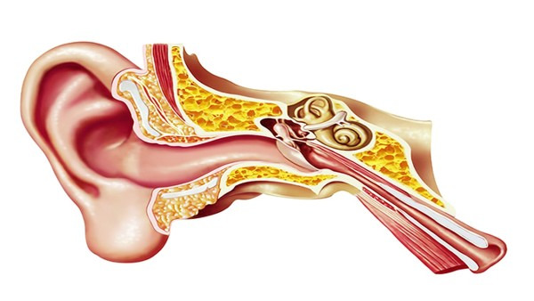 什么是头晕耳鸣 头晕耳鸣怎么治疗