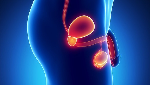 什么是附睾囊肿，得了附睾囊肿可能出现5种危害