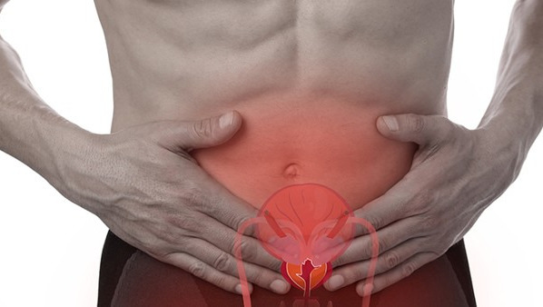 很多人想知道，什么是前列腺？