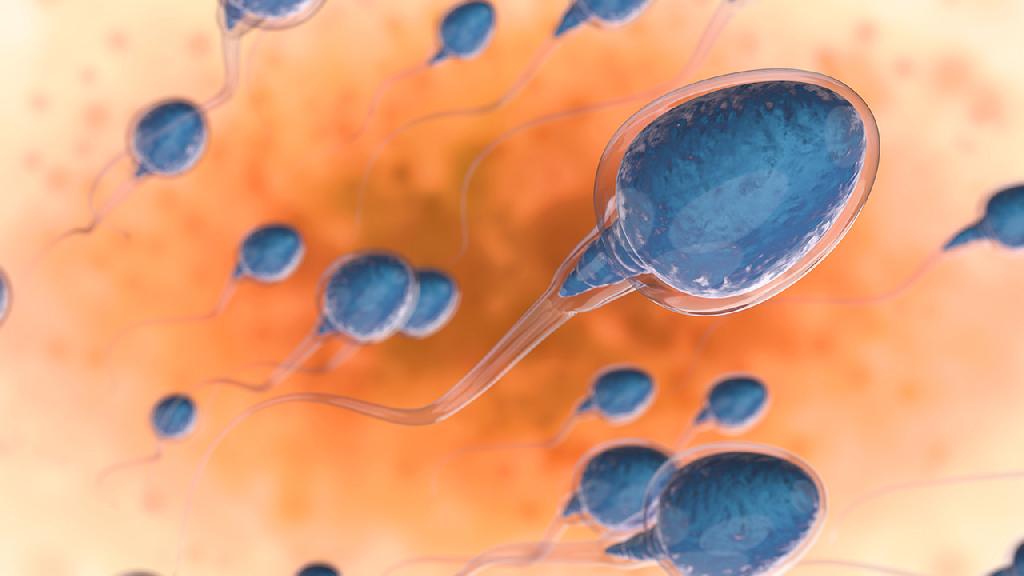 精液里有细菌吗 男性该如何促进精液的产生
