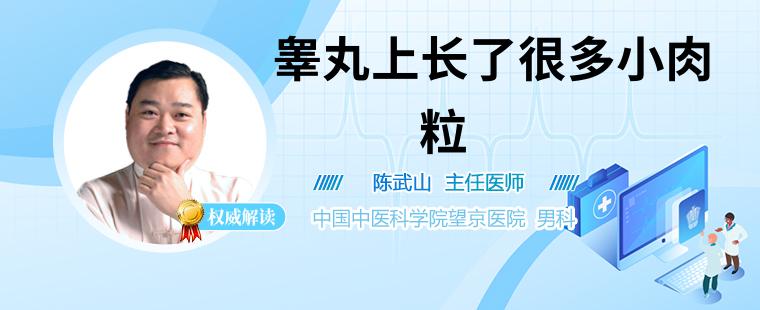 睪丸上長了很多小肉粒病因睪丸上長了很多小肉粒治療