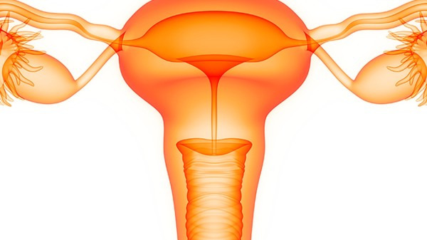 人流后怎么保养子宫