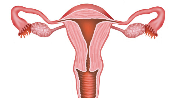 功能障碍性子宫出血是什么意思，引起的原因是什么？