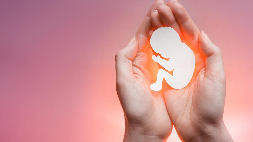 胎停育为什么这么突然 可能是6个因素在潜移默化的影响胎儿