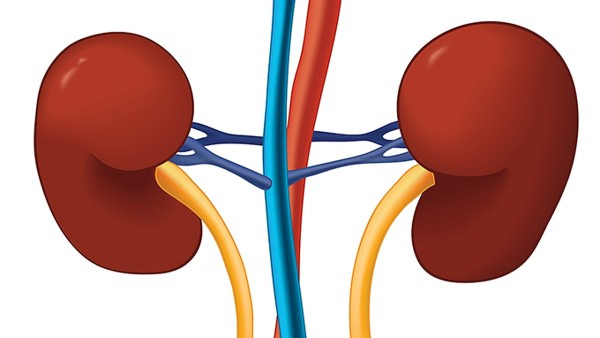 什么是高血壓腎病 患有高血壓腎病的病因是什么