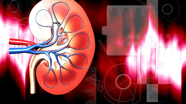 如何預(yù)防小兒腎炎 這3個措施需時刻牢記