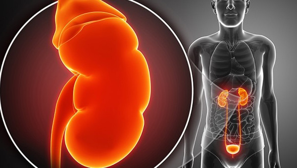 尿毒症患者晚期该怎么治疗 注意这4点可能延长十几年的寿命