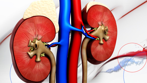 肾炎能喝牛奶吗？3类食物不能吃