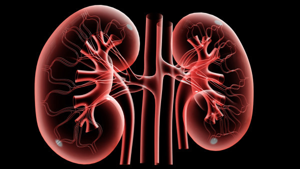 小兒急性腎炎如何治療？5個方法可治愈