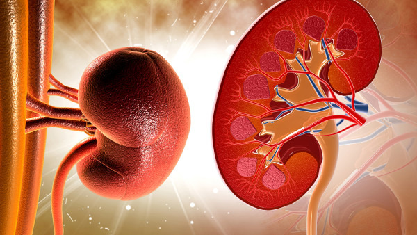有血尿是怎么回事 出现血尿的症状是肾炎的可能性有多大