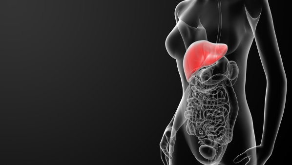 肝脏肿块有几种可能 3种因素会引发肝脏肿块