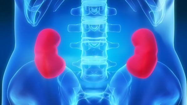 双侧肾囊肿是怎么回事 导致双侧肾囊肿的4个常见病因都有哪些