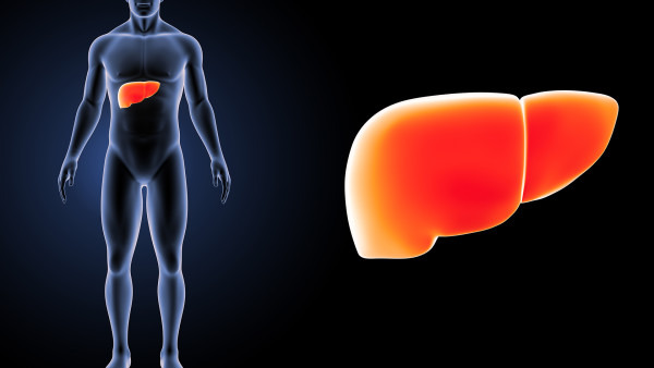 肝炎是怎么引起的 导致肝炎的3大原因