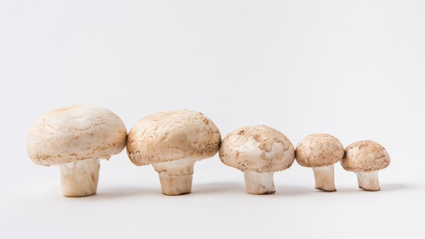 药物性肝炎患者治疗过程中注意什么 调理药物性肝炎的6个方法