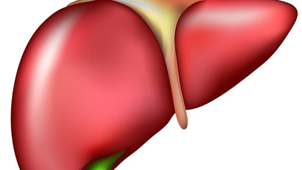 藥物性肝炎的治療方法有哪些 藥物性肝炎怎么護(hù)理