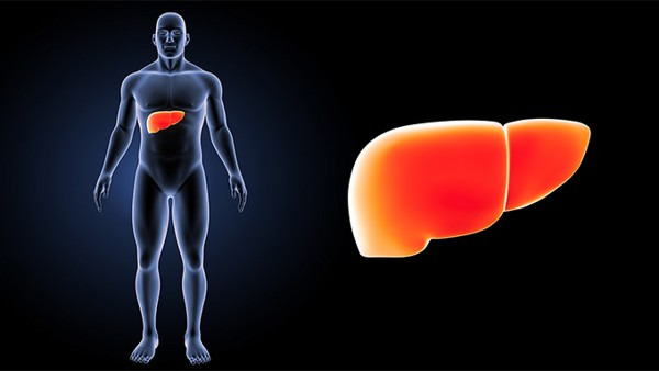 什么是丁型肝炎 丁型肝炎是通过什么传播的