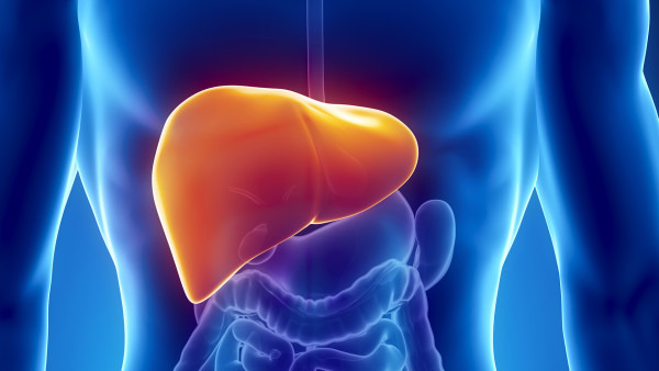脂肪肝初期表现是什么样的 初期通常有5种表现