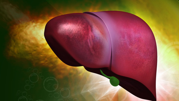 轻度脂肪肝的自愈方法 自愈方法有3种