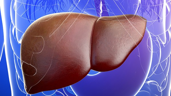 脂肪肝引起肝区疼痛怎么缓解 教你三种治疗方法