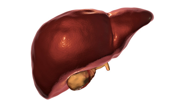 中度脂肪肝的治疗方法有哪些 中度脂肪肝的4种治疗方法