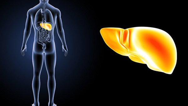 脂肪肝会疼吗 脂肪肝疼痛的缓解方法有2种