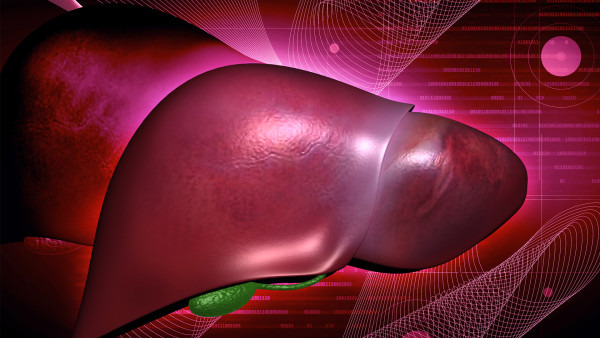 轻度脂肪肝的超声表现有什么 重度脂肪肝的超声表现