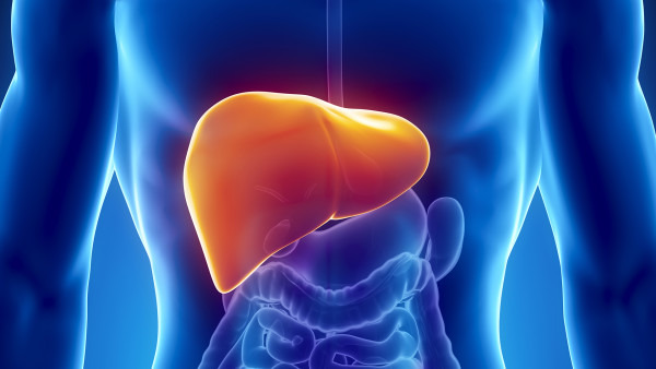 脂肪肝会引发什么疾病 脂肪肝带来的5种并发症