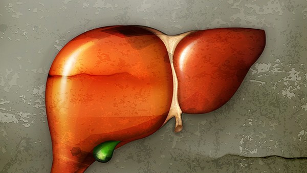 有脂肪肝可以妊娠吗 视具体情况而定