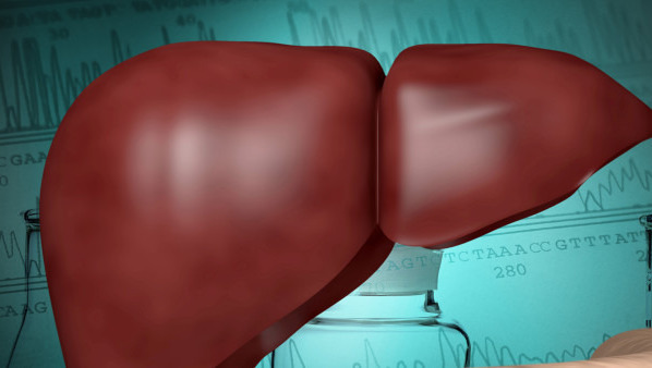 脂肪肝的症状主要有哪些 常见的5个脂肪肝症状