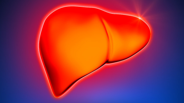 脂肪肝有什么坏处 脂肪肝导致的4种坏处