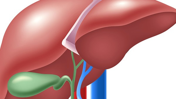 脂肪肝會導致膽紅素高嗎 如何降低膽紅素含量