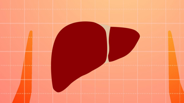 脂肪肝到肝硬化需要多长时间 如何治疗肝硬化 常见的3种治疗方法
