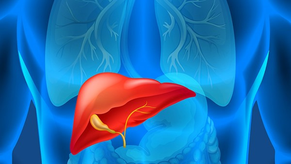 脂肪肝肝囊肿是怎么回事 脂肪肝肝囊肿症状