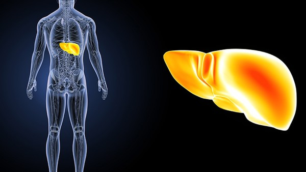 脂肪肝肝囊肿会消掉吗 脂肪肝肝囊肿能自愈吗