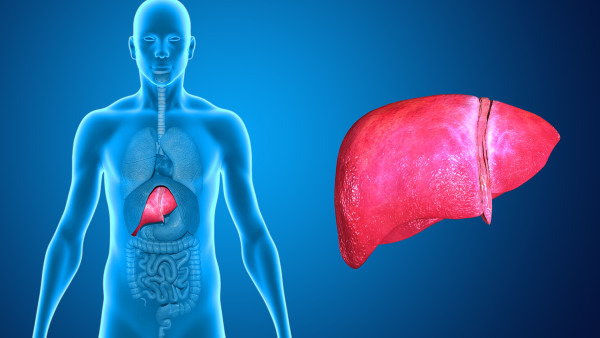 脂肪肝会引起囊肿吗 脂肪肝的危害