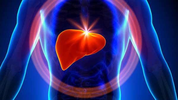 脂肪肝与肝囊肿有关系吗，医生解答脂肪肝和肝囊肿的相互关系