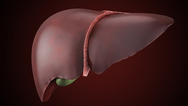 患上脂肪性肝炎的人越来越多 你知道引发脂肪性肝炎的5个因素是什么吗