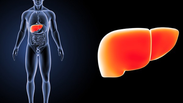 如何诊断自己是否患脂肪肝？有四个症状