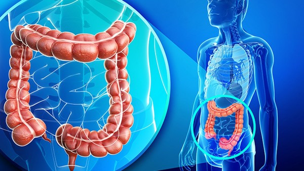 直肠息肉的临床表现都有哪些 直肠息肉会导致直肠脱垂吗