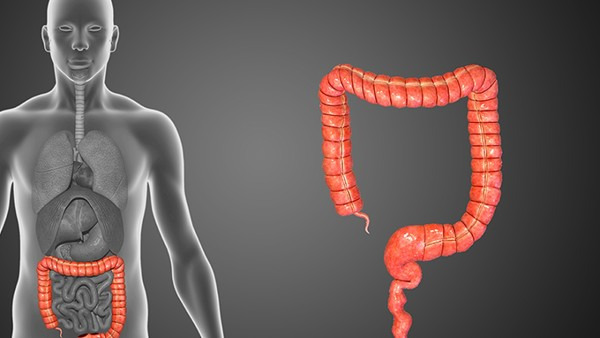 直肠息肉会出现什么症状 直肠息肉患者需要注意哪些事项