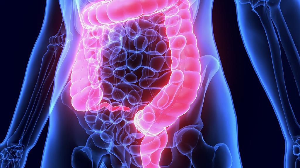 直肠息肉的危害都有哪些 直肠息肉会发生癌变吗