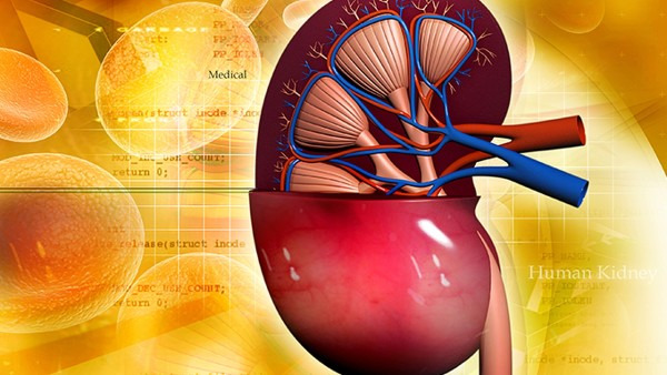 肾结石是怎么形成的，肾结石与生活中这3点有关
