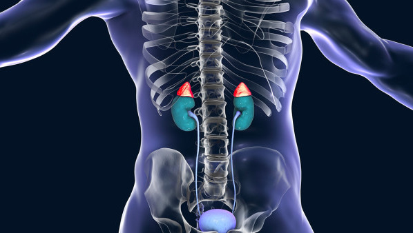 男性腎結(jié)石有什么癥狀，腎結(jié)石引發(fā)的4種病痛