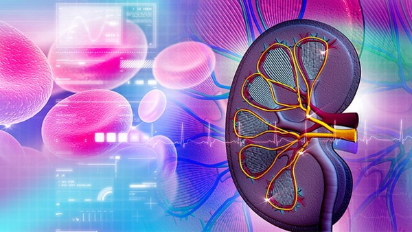 先天性肾积水是什么原因引起的 导致先天性肾积水的6个病因